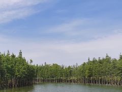 -苏州太湖湖滨国家湿地公园