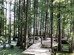 -东湖落雁景区