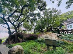 -江心屿景区