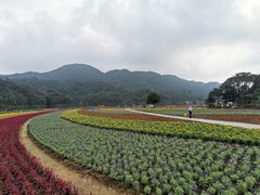-广州市石门国家森林公园
