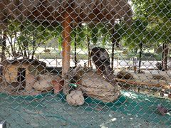 -陕西自然博物馆