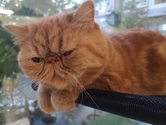 -猫和宫(六道口店)