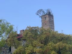 -江心屿景区
