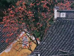 -丹山赤水风景名胜区