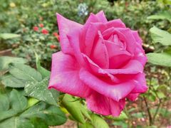 -文华公园(禅城区)