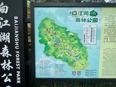 -广州白江湖森林公园