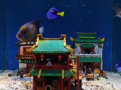 -上海海昌海洋公园