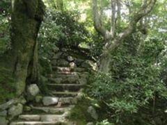 -常寂光寺
