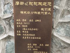 -承恩寺