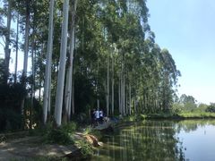 -三圣花乡旅游区