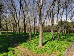 -白塘生态植物园