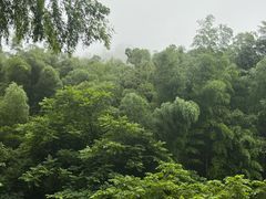 -藏龙百瀑风景区