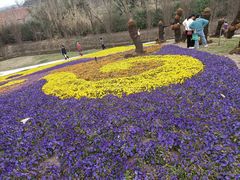 -南通洲际绿博园