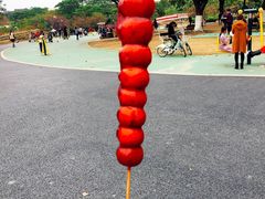 -东莞植物园