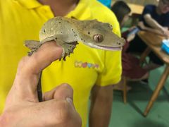 -藦茜花园宠物主题亲子互动体验馆(国顺东路店)