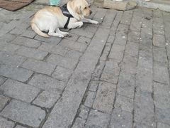 -赵元章肉骨烧(山塘街店)