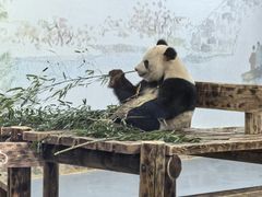 -无锡动物园·太湖欢乐园