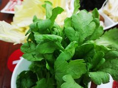 -岳合轩老北京涮肉