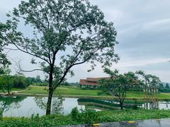 -良渚古城遗址公园