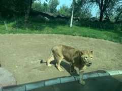 -北京野生动物园