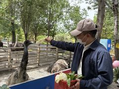 -水上乐园·欢乐世界