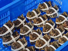 -丫丫蟹庄·苏式园林农家乐·阳澄湖大闸蟹(阳澄湖莲花岛店)