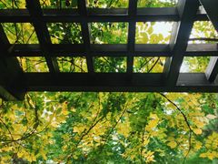 -月坛公园