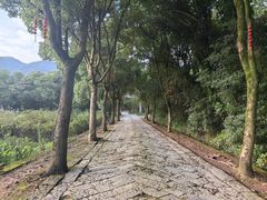 -天台山赤城山景区