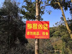 -旗山国家森林公园