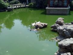 -祝家花園(伯渎港店)