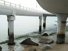 -演武大桥观景平台