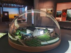 -同里国家湿地公园