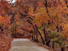 -北京西山国家森林公园