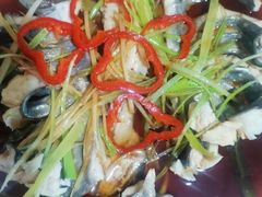 -煲来饱去冷水鱼