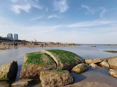 -渡海小渔村.老辈日照菜