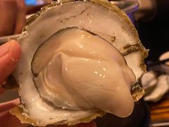 -土蚝·高压锅生蚝(百姓美食街店)