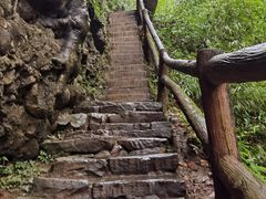 -青城山