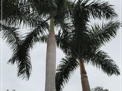 -广州市白云山风景名胜区