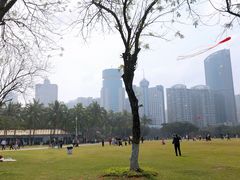 -万绿园