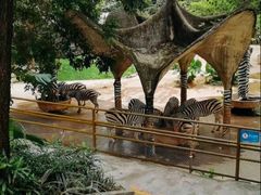 -深圳野生动物园