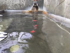 -凤翔首邑温泉度假村