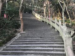 -普陀山慧济禅寺