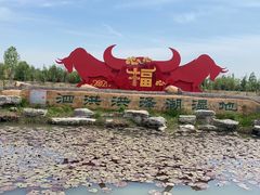 -泗洪洪泽湖湿地景区