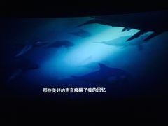 -中国科学技术馆影院