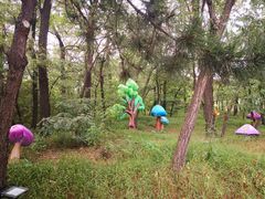 -南戴河国际娱乐中心