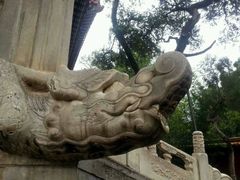 android_upload_pic-景山公园