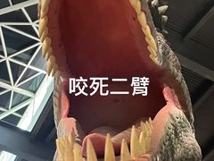 -湖南省地质博物馆