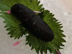 -觀芷隐轩