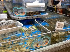 水产区-盒马鲜生(富田新天地店)