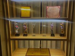 -御手国医·古法经络调理(光华店)